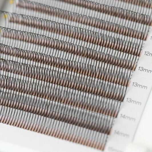 Angel Lash Trays | Black