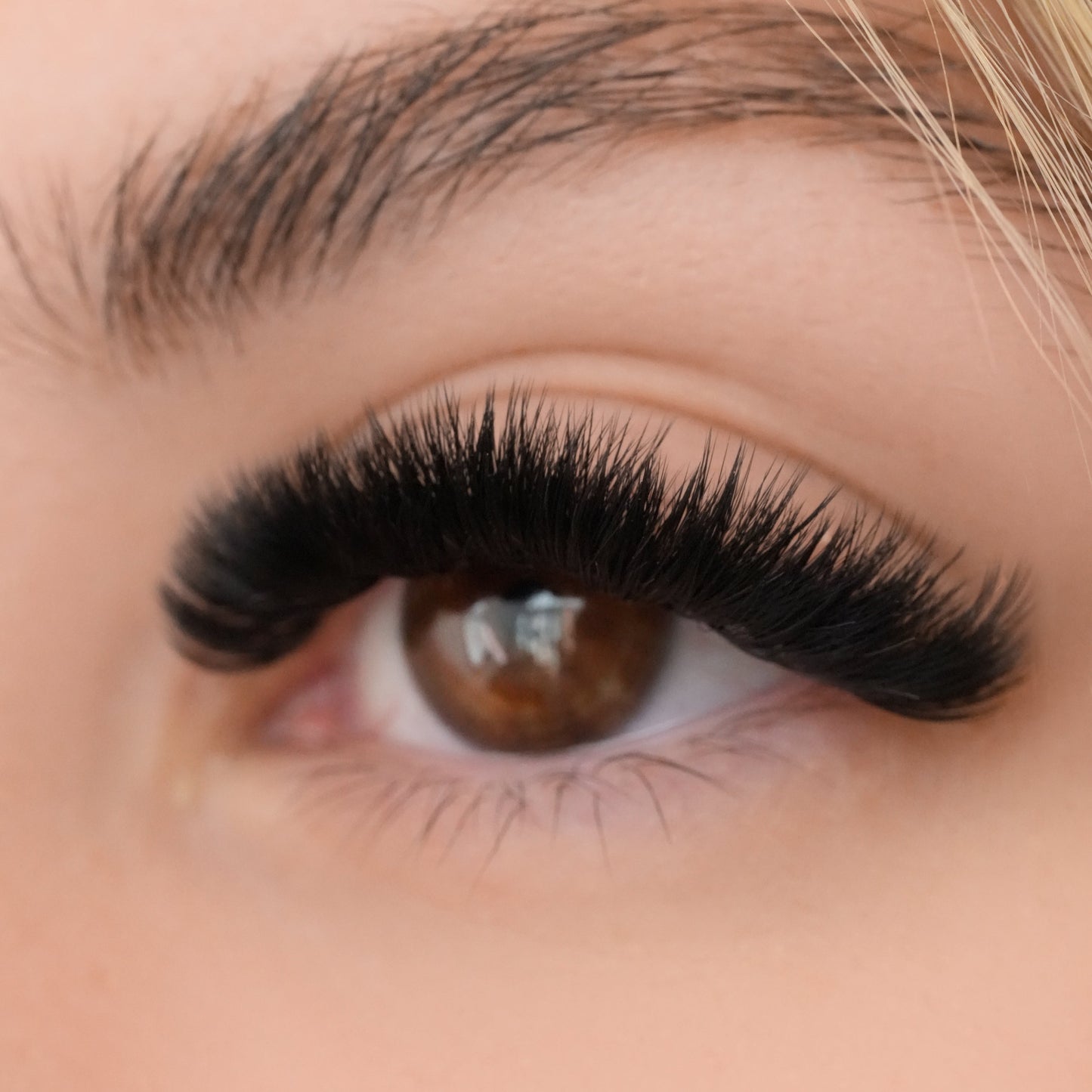 Everything Lashes .03mm (20 Rows)